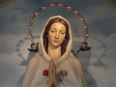 Virgen Rosa Mística Historia Oración Rosario Y Más