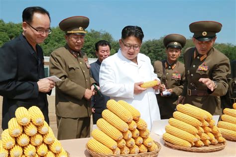 Pictures Of Prosperity Contrast With Hardships In North Korea Cbc News