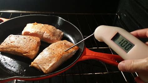 The lowest possible temperature to cook. A Wild Caught King Salmon Breakfast with a Wild Bobcat ...