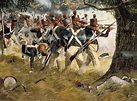 Battle of Fort McHenry in the War of 1812