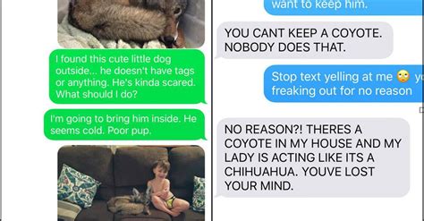 Wife Convinces Husband She Took In A Coyote In Hilarious Prank Huffpost
