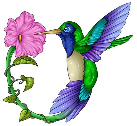 Hummingbird Tattoos Png Transparent Images Png All