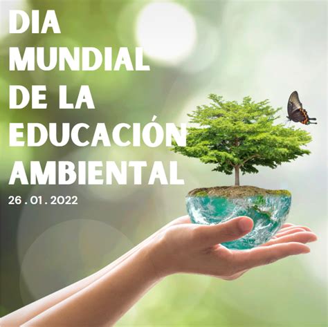 Día Mundial De La Educación Ambiental Tribunal De Cuentas