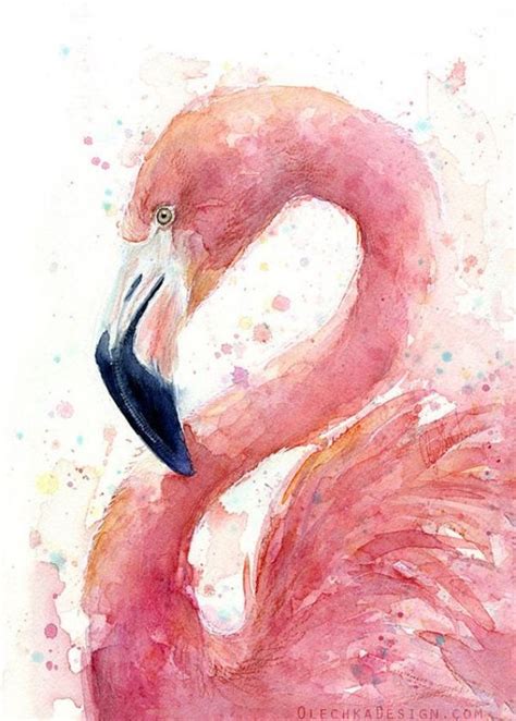 Easy Watercolor Painting Ideas For Beginners Flamingo Art Print