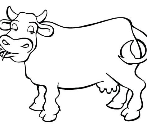 Cow Head Coloring Page At Free