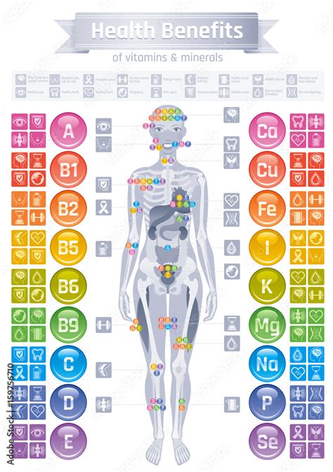 Mineral Vitamin Effect Icons Health Benefit Flat Vector Icon Set Text