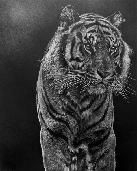 Check spelling or type a new query. Design Stack: A Blog about Art, Design and Architecture: Wildlife Animals Realistic Pencil Drawings