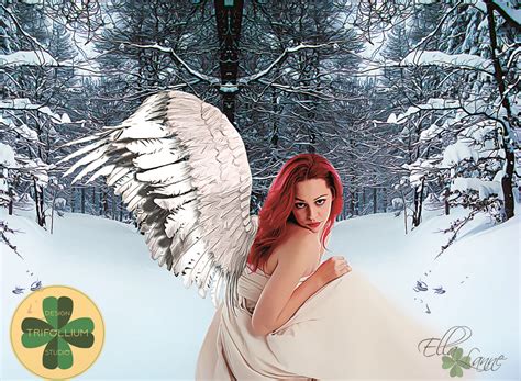 Snow Angel Professional Graphic Design Digital Painting
