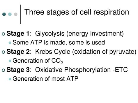 PPT Cellular Respiration Glycolysis Recap And Fermentation Processes