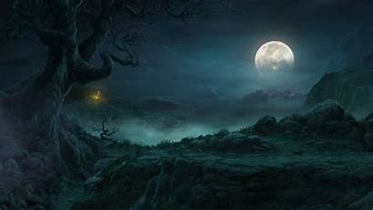 Moon Night Sky Nature Forest Spooky Dark