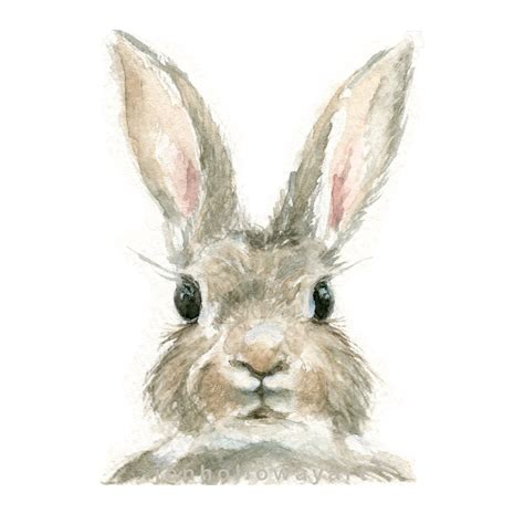 Watercolor Rabbit Rabbit Print Bunny Print Animal Print