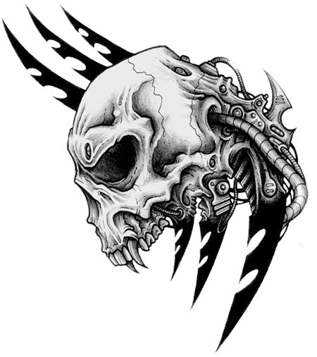 Skull Tattoo Png Transparent Images Png All