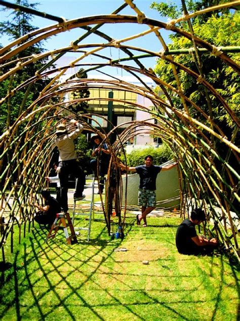 Bamboo Teepee Trellis Ideas Yahoo Image Search Results In 2020