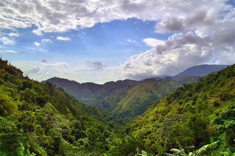 The 7 Best Hiking Trails In Jamaica