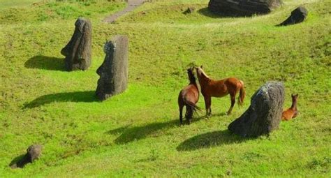 Easter Island Animals Imagina Easter Island
