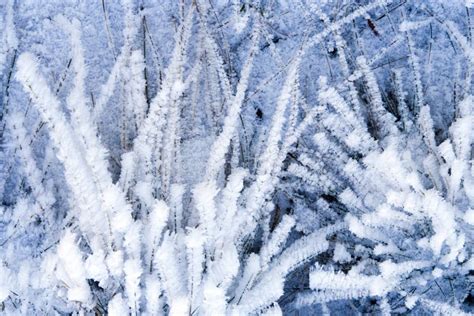 Winter Background With Natural White Frost And Ice Stock Photo Image