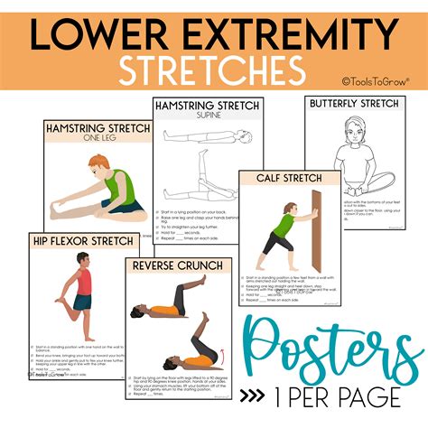 Lower Extremity Strengthening Exercises And Range Of Motionstretches