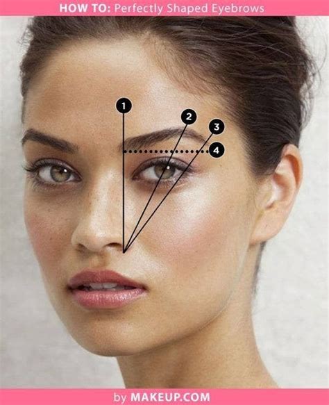 Eyebrow Diagrams That Will Explain Everything To You Perfect Eyebrows Eyebrow Makeup Tips