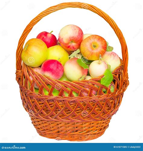 Basket With Apples Stock Image Image Of Isolated Agriculture 61071585