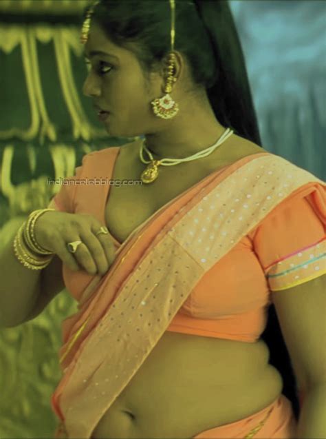 Jayavani Telugu Yamadonga 10 Hot Saree Cleavage Navel Hd Caps