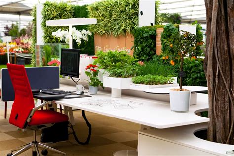 Get landscaping tips from hgtv experts on choosing the best plants, maintaining your lawn learn how to choose the right plants for your flower beds, maintain your lawn and add curb appeal with. 25 Awe Office Plants Interior Design Ideas - 13 Is Damn ...