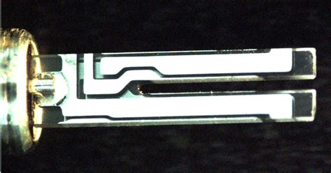 All You Need To Know About Tuning Fork Crystals Jauch Blog