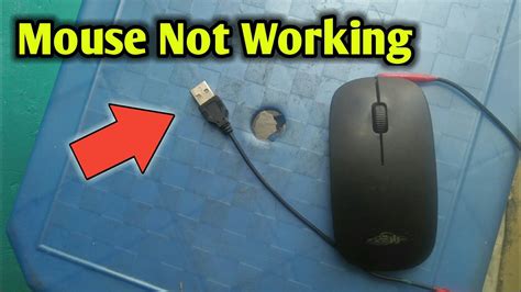 Fix Wireless Mouse Not Working On Windows Laptop Or Pc My XXX Hot Girl