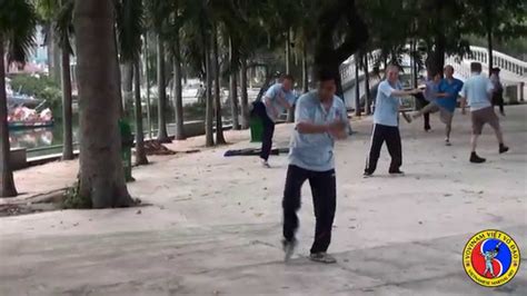 Vovinam Viet Vo Dao The Vietnamese Martial Art English Youtube