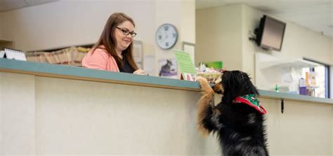 Animal Hospital Of Clemmons Our Staff Animal Care Hospital Of