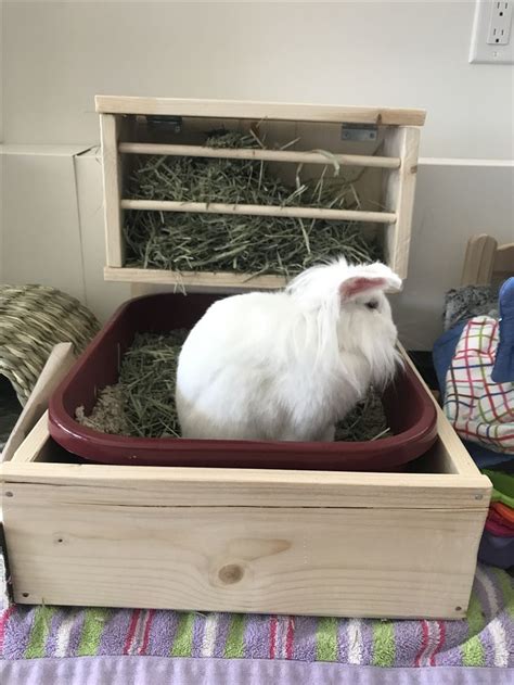 Diy House Bunny Litter Box With Hay Feeder Bunny Litter Box Litter