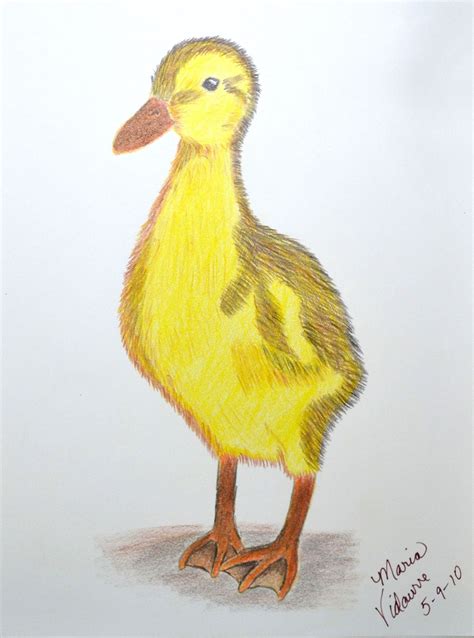 Duckling Colored Pencil Flowing Waters Art