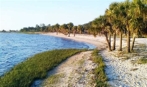 Ultimate Beach Guide To Floridas Nature Coast Florida Smart