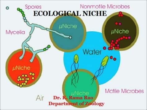 Ecological Niche Ppt