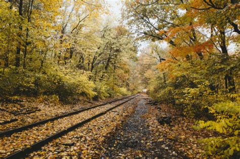 fall foliage hunting where to find the best colors in vermont hot sex picture