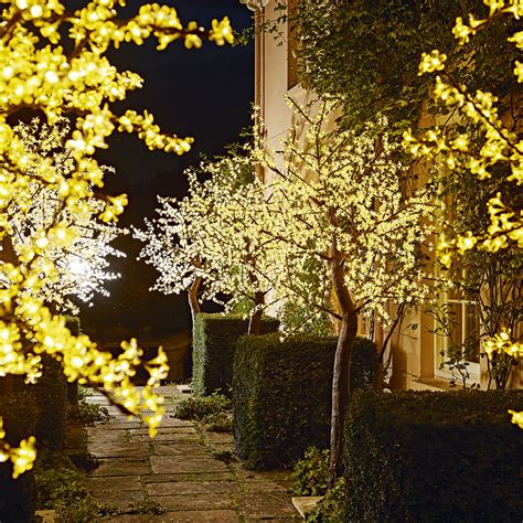 Being selective in your scheme is not only a good design principle; Garden lighting ideas - Garden lighting - garden lighting ...