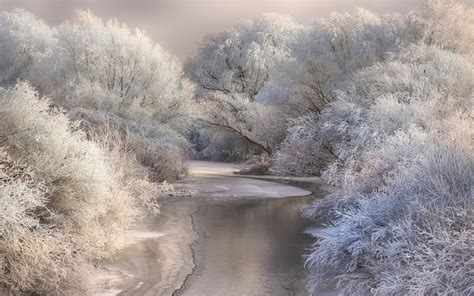 Hintergrundbilder 2500x1563 Px Kalt Tageslicht Wald Frost