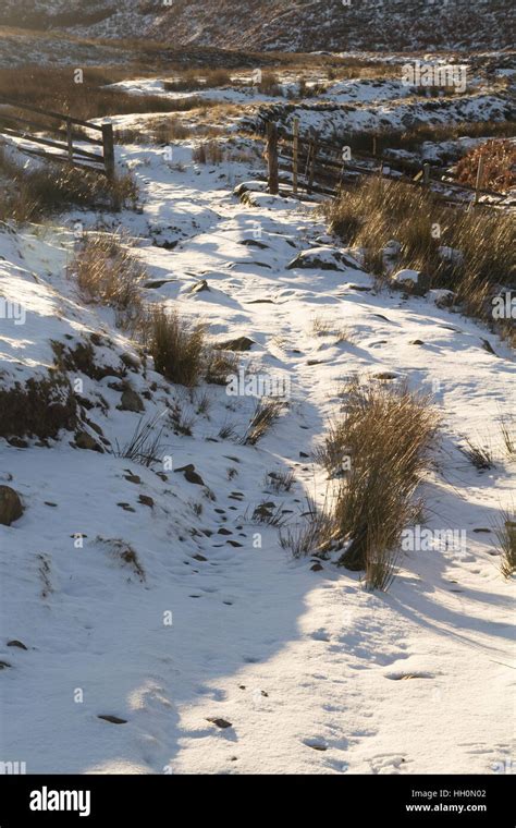 Snowy Northumberland Landscape In Winter Stock Photo Alamy