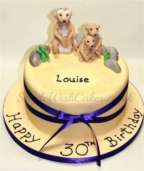 Meerkat Decorated Cake By Stef And Carla Simple Wish Cakesdecor