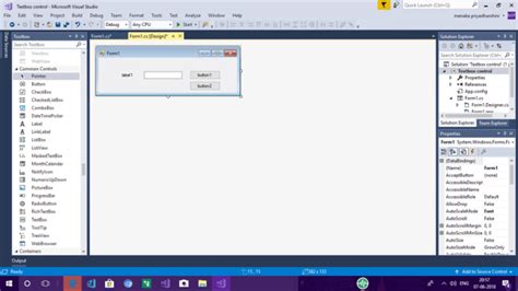 Using Textbox In Windows Forms