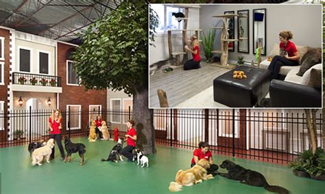 We offer daily adventures where your animal can run, swim, jump, play, socialize, and just straight enjoy life being a pooch. Jet Pet Resort Recognized As Most Luxurious Pet Hotel in World