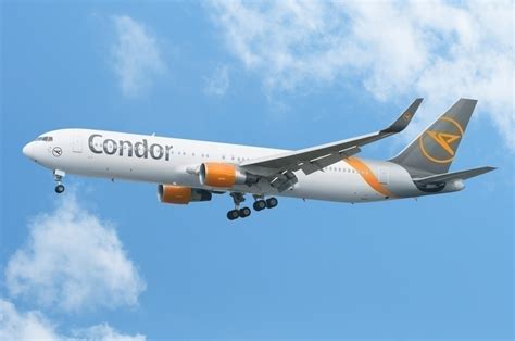 What Condors Future Could Look Like Without Polish Buyout Simple Flying