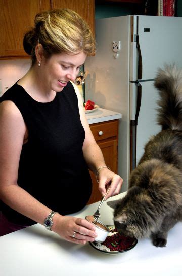 Free Picture Pregnant Woman Feeding Cat