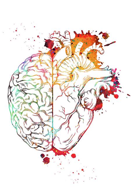 Heart And Brain Digital Art By Erzebet S Pixels