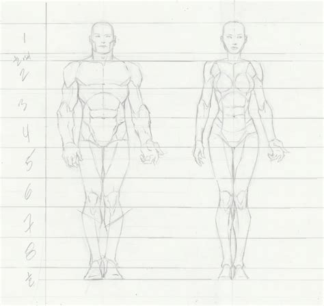 Drawing Female Torsos Example Reference Comic Book Drawing Female