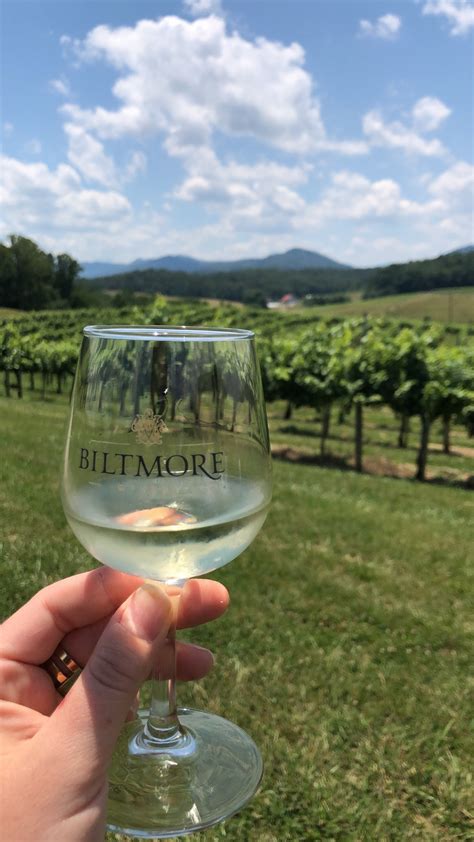 Discover Biltmore Wines From Grape To Glass Biltmore Winery Tours