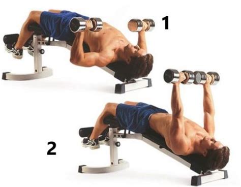 6 Best Chest Exercises For Muscle Building Health And Fitness Magazine