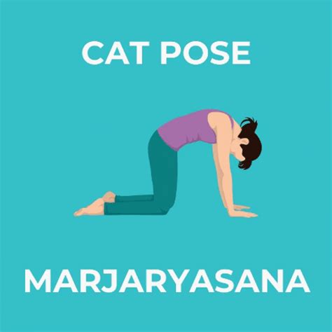 Yoga Cat Cow Pose 