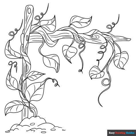Vines Coloring Page Easy Drawing Guides