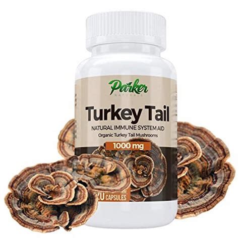 premium organic turkey tail mushroom capsules by parker naturals