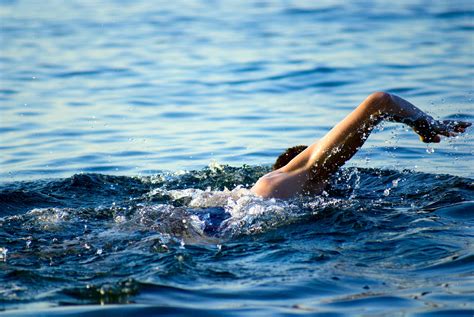 Swimming Man In Ocean Water John Oleary